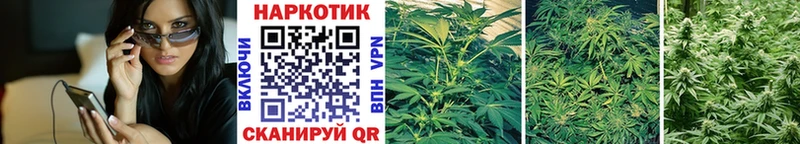 Как найти закладки Чегем МАРИХУАНА  АМФ  Alpha PVP  ГАШ  Мефедрон 
