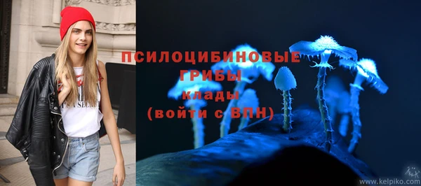Альфа ПВП Вяземский