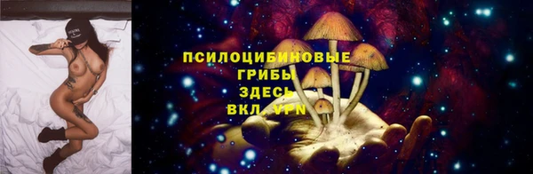 крисы Верхнеуральск