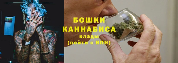 индика Волосово