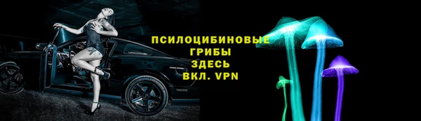 Альфа ПВП Вяземский