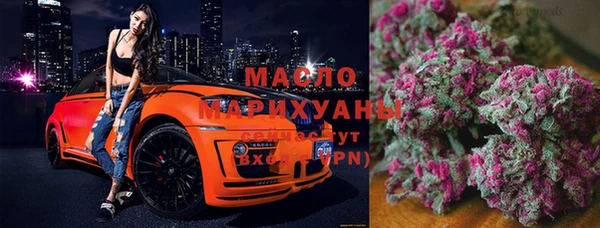 индика Волосово
